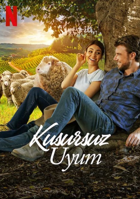 Kusursuz Uyum izle / A Perfect Pairing